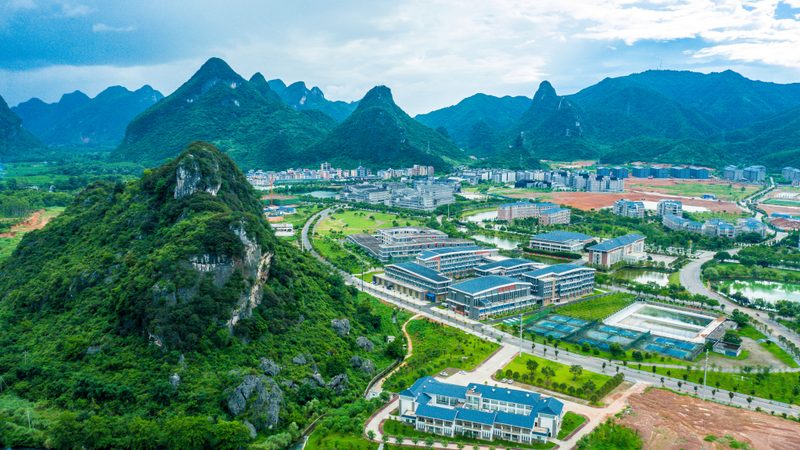 成都三极管品牌盘点：揭秘市场主流与选型要点
